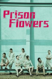 Prison Flowers 2023 on netflix