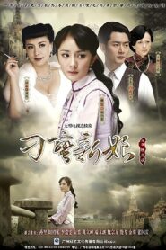 刁蛮新娘 2010 on netflix