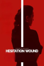 Hesitation Wound 2024 on netflix