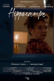 Hippocampe 2022 on netflix