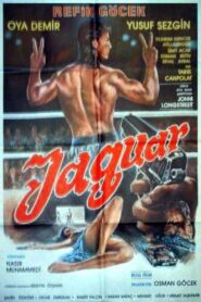 Jaguar 1987 on netflix