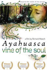 Vine of the Soul: Encounters with Ayahuasca 2010 on netflix
