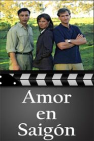 Eine Liebe in Saigon 2006 on netflix