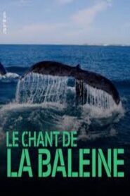Whale Patrol 2009 on netflix