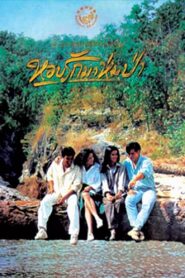 Forest In Love 1994 on netflix