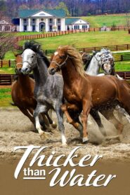 Thicker Than Water 2005 on netflix