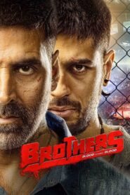Brothers 2015 on netflix