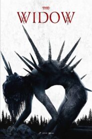 The Widow 2020 on netflix
