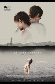 The Life After 2013 on netflix