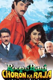 Roop Ki Rani Choron Ka Raja 1993 on netflix