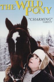 The Wild Pony 1983 on netflix