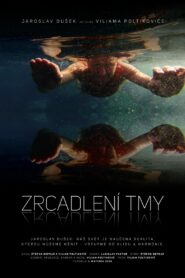 Zrcadlení tmy 2020 on netflix