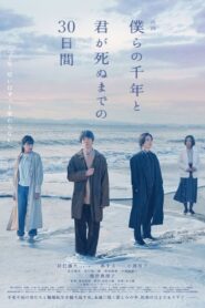 The Shoreline 2024 on netflix
