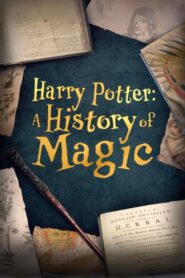 Harry Potter: A History Of Magic 2017 on netflix