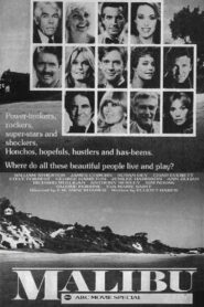 Malibu 1983 on netflix