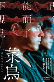 Maverick 2015 on netflix
