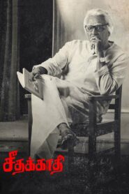Seethakathi 2018 on netflix