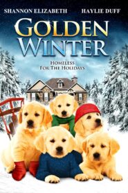 Golden Winter 2012 on netflix