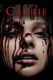 Carrie 2013 on netflix