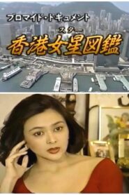 The Illustrated Guide to Hong Kong Stars 1991 on netflix