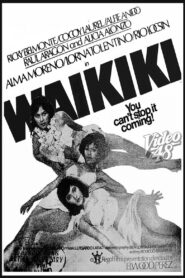 Waikiki 1980 on netflix