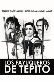Los fayuqueros de Tepito 1982 on netflix