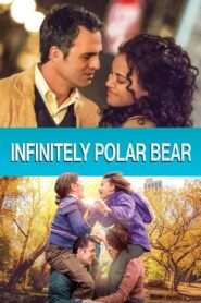 Infinitely Polar Bear 2014 on netflix