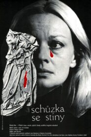 Schůzka se stíny 1983 on netflix