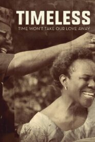 Timeless 2017 on netflix