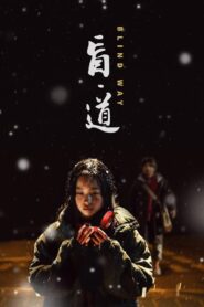 Blind Way 2017 on netflix