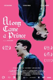 Along Came a Prince 2021 on netflix