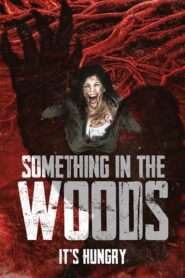 Something in the Woods 2022 on netflix