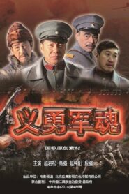 Spirit of Resistance 2014 on netflix