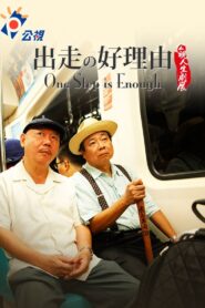 One Step is Enough 2011 on netflix
