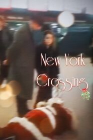 New York Crossing 1996 on netflix