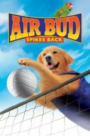 Air Bud: Spikes Back 2003 on netflix