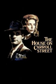 The House on Carroll Street 1988 on netflix