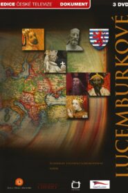 Lucemburkové 2010 on netflix