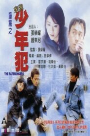 The Faterangers 1999 on netflix