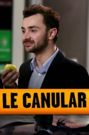 Le canular 2014 on netflix