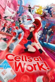Cells at Work! 2024 on netflix