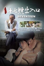Seventeen 2011 on netflix