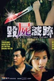 A Mysterious Murder 2003 on netflix