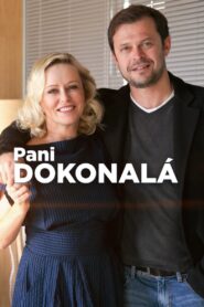 Pani Dokonalá 2018 on netflix