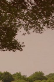 What’s Killing Our Bees? 2013 on netflix