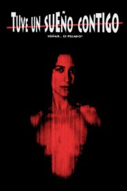 Tuve un sueño contigo 1999 on netflix