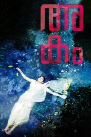 Akam 2013 on netflix