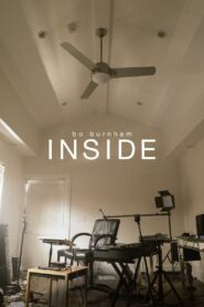 Bo Burnham: Inside 2021 on netflix