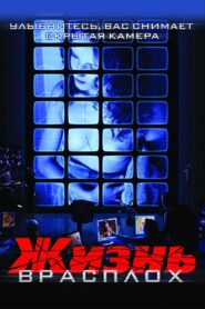 Life By Surprise 2007 on netflix
