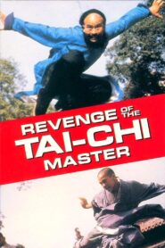 Secret of Tai Chi 1982 on netflix